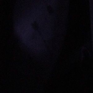 Meet your Posher, Betty